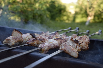 шашлык на шампуре