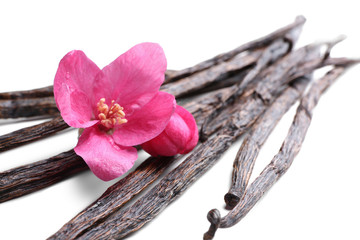 Dried vanilla sticks and flower on white background, closeup