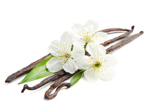 Dried vanilla sticks and flowers on white background