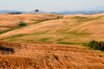 Fototapeta premium Campagna senese
