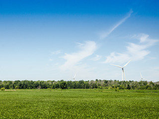 Fototapeta na wymiar Windmill blades in a green level field and deep blue sky