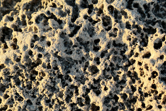 deniz kıyısında kaya dokusu