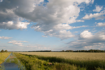 Obraz premium Water channel for irrigation of the fields,