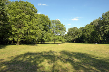 liegewiese