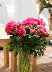 Pink peonies bunch in a glass vase