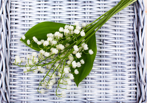 Fresh white lilies of the valley lie on a wicker tray.