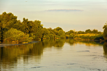 Fototapeta na wymiar Landscape with water and vegetation in the Danube Delta, Romania