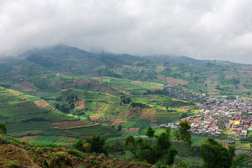 Fototapeta premium Very nice view of the rice fields on the island of Java, Dieng Plateau, Indonesia.Light and shadow in nature,Spectacular views.Rice fields and a village in sunlight and clouds..Rice fields in the sun.
