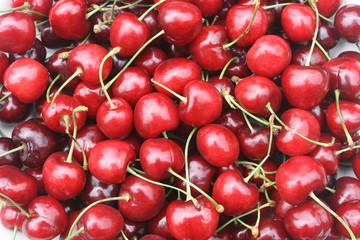 Frische Süßkirschen