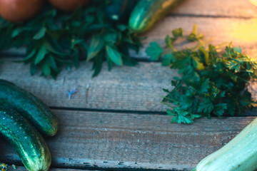 Fresh cucumber from the garden on a wooden background.