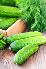 Fresh cucumbers for salad