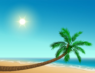 Fototapeta na wymiar Paradise tropical beach. Inclined palm tree, clear sky, sun, sea and sand