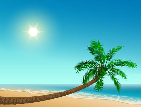 Paradise tropical beach. Inclined palm tree, clear sky, sun, sea and sand