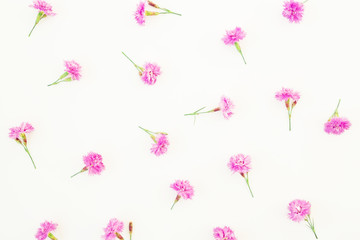 Pink flowers on white background. Flat lay, top view. Floral pattern of wild flowers