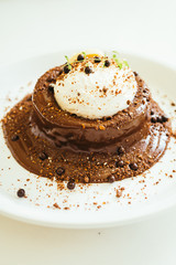 Chocolate cake and pudding