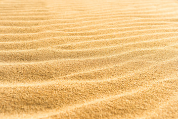 Sand texture on the beach