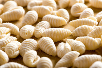 Fototapeta na wymiar Raw shell shape pasta