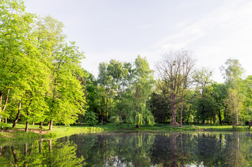 Landscape lake mirror image