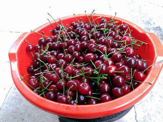 fresh red cherries in a plastic container