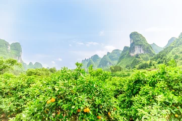 Foto op Canvas View on karst landscape by Yangshuo in China  © streetflash
