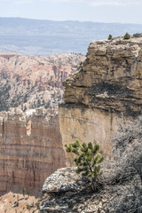 Bryce National Park