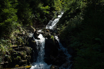 Torrent ruisseau