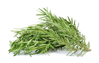 Rosemary isolated on the white background