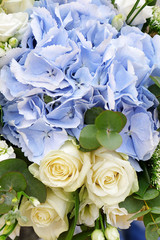 Beautiful bouquet of blooming flowers