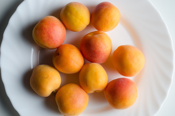 Multiple Apricots on White Plate