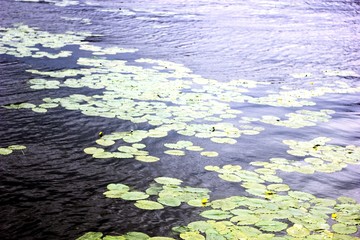 building landscape architecture sky beautiful view a nice place journey nature Rivers