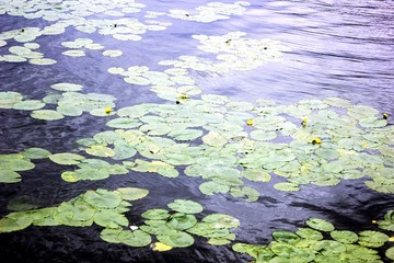 building landscape architecture sky beautiful view a nice place journey nature Rivers