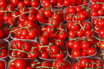 Frische Aromatomaten