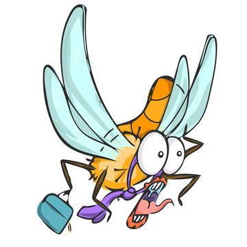 dragonfly