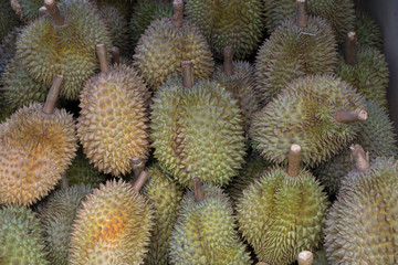 Naklejka na ściany i meble Durian fruit