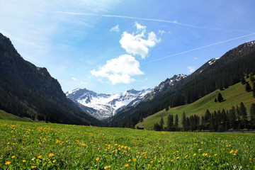 Fototapeta premium Landscape in Lichtenstein