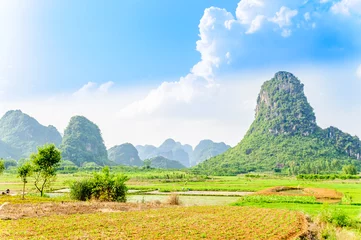 Gordijnen View on rice fields and karst hill by Yangshuo in China © streetflash