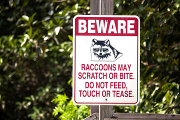 Beware of raccoons sign