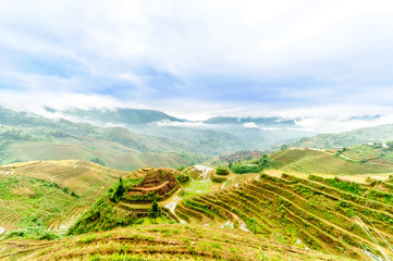 View on rice terrace fields by longesheng in China