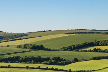 Fields in the South Downs