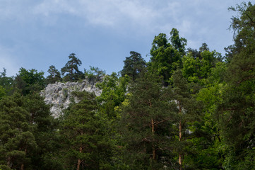 The cliffs of the Raab river gorge