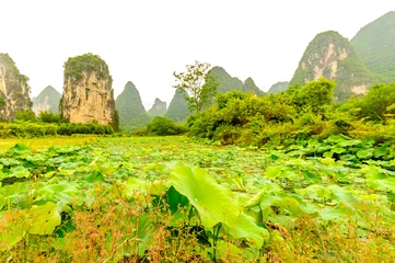 Wandaufkleber View on karst landscape by Guilin in China © streetflash
