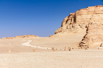 Fototapeta na wymiar A view of Whale fossil of Wadi El Hitan ( Whale Valley), in the Western Desert of Egypt
