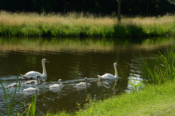 Obraz premium Landschaft 343