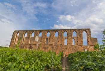 Kloster-Stuben Ruine bei Bremm an der Mosel 