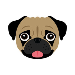 Pug head vector illustration