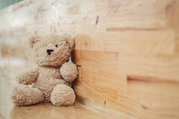 Teddy bear sit alone in the room