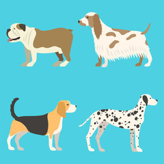 Funny cartoon dog character bread in flat style puppy pet animal doggy vector illustration.