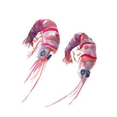 fresh fish illustration. Hand drawn watercolor on white background.