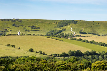Fototapeta premium Sussex Landscape with Windmill