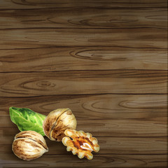 Walnut watercolor dark background illustration